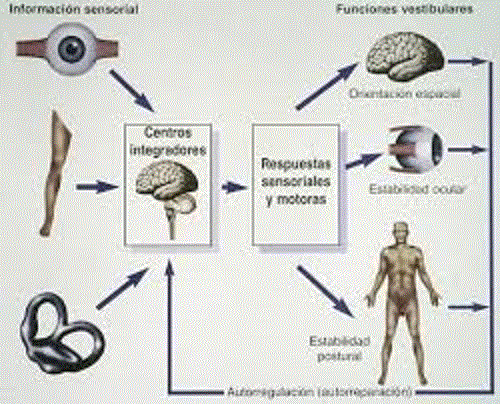 esquema de equilibrio