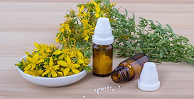 johns-wort-6090337_1280.jpg
