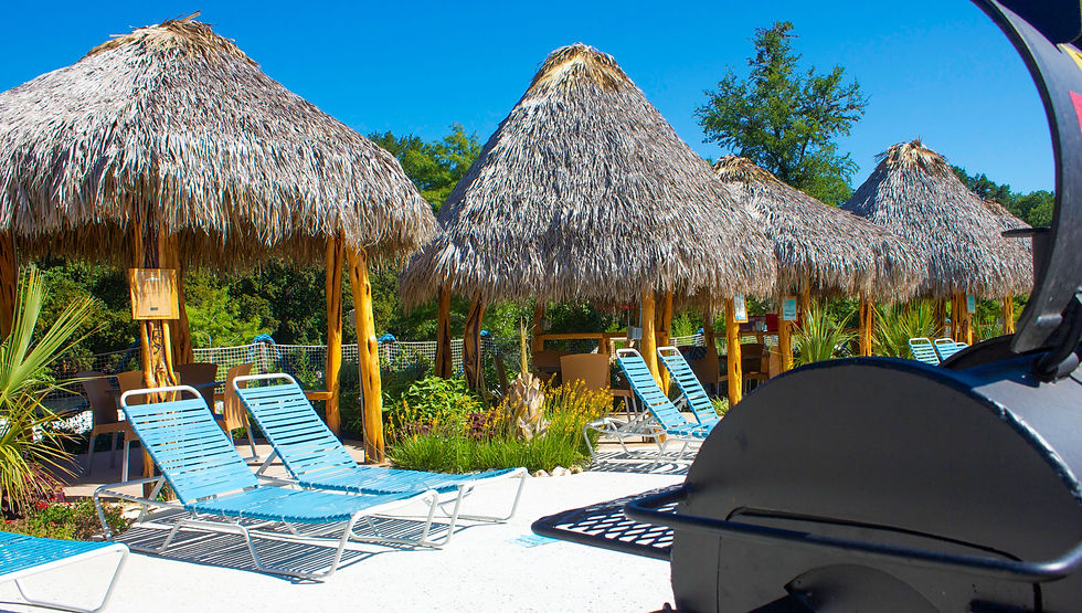 Palapas and lounge chairs on a beach