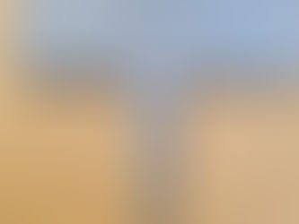 BERBA CVJETOVA I POSTAVLJANJE NOVIH PLOČICA S NAZIVIMA BILJAKA (6.6.2025.)