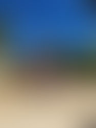 Posjet učitelja iz Pärnu Kuninga Tänava Põhikool, (Pärnu, Estonija)