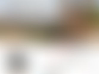 Dr Carlos Eduardo Amaral avalia entrada de Minas Gerais no Regime de Recuperação Fiscal