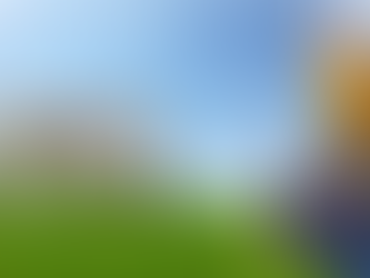 Property Maintenance