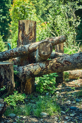 260710_Urban_Rewilding_0036.jpg