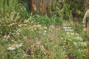 _IM_6297_edited.jpg