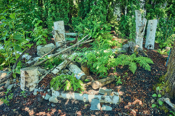 260710_Urban_Rewilding_0228.jpg