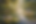 Water lilies in a serene pond.png