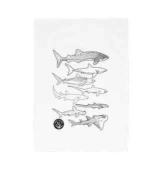 ttowel shark.webp