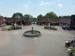 image31
