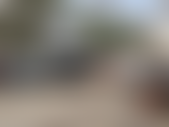 At Fast Money Cars, we buy junk cars.