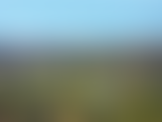 House and Land in Lilywood, QLD — 3 active projects