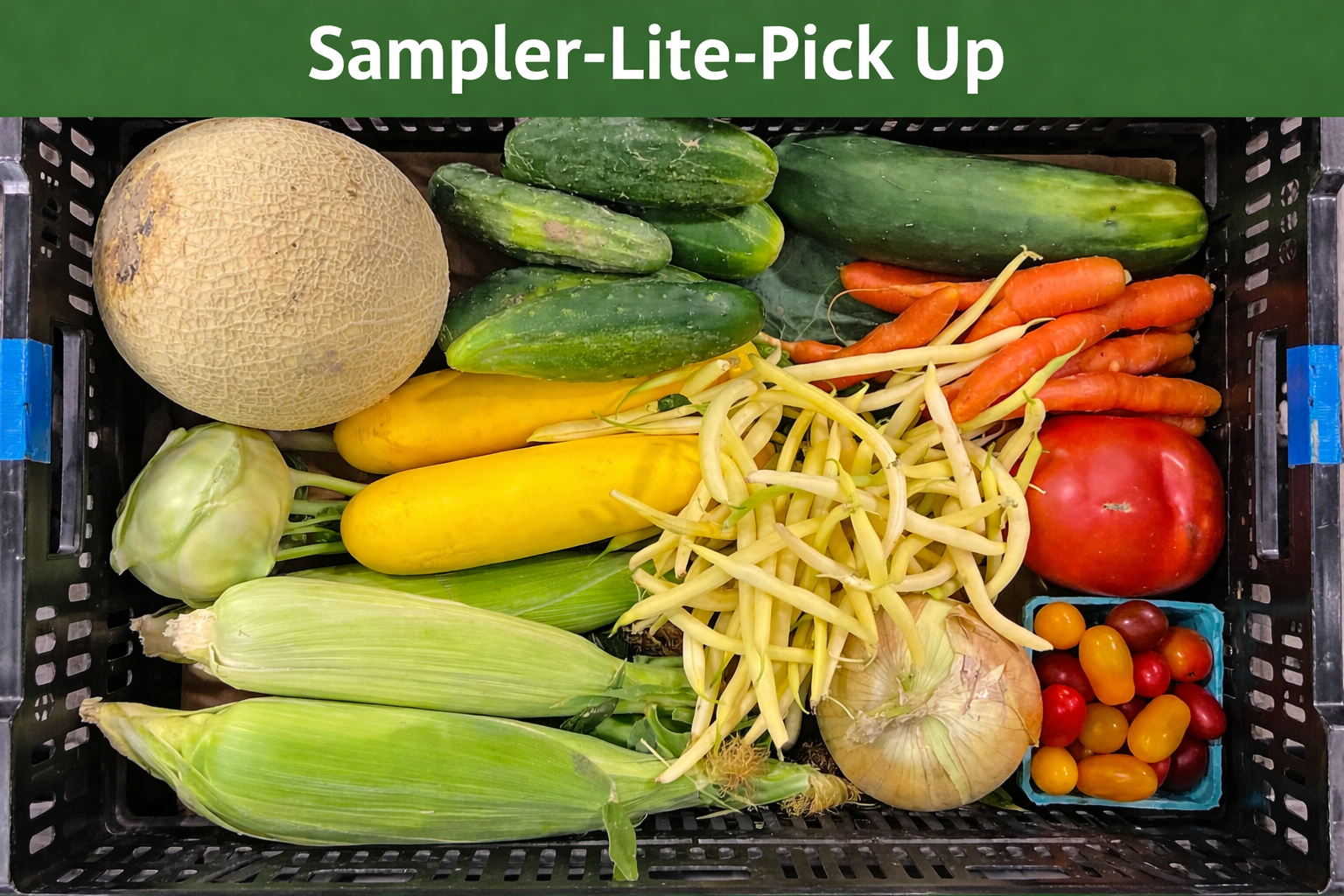Sampler-Lite-Pick Up: $34.00 per week (6-14 weeks)