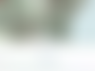 Center Denmark Energy Platform: Source of Dynamic Data for BIPED Modeling