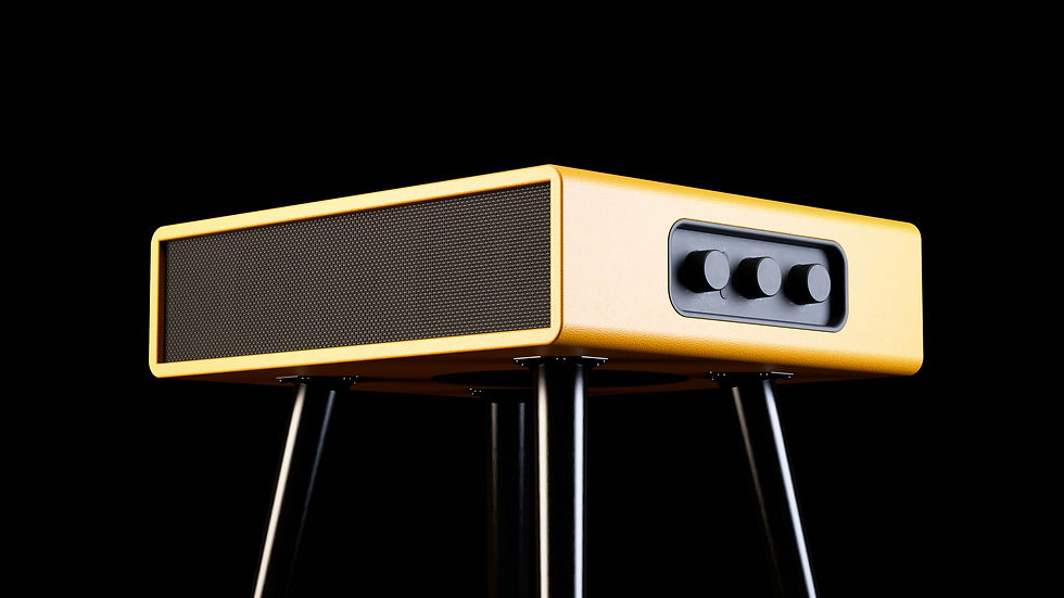 3d render of custom speaker design with leather