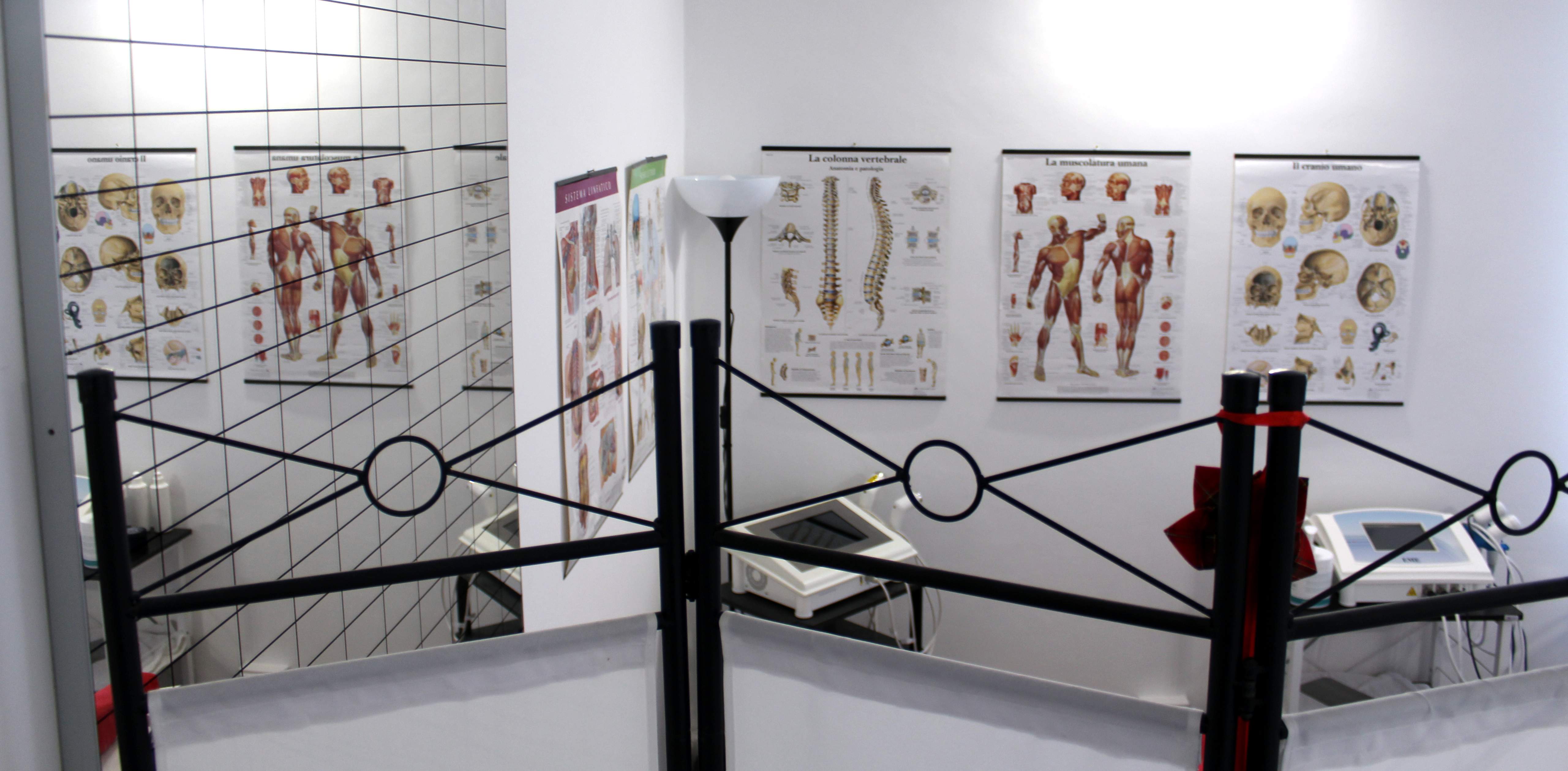 Fisioterapia - Osteopatia