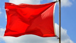 RED FLAGS IN FISIOTERAPIA