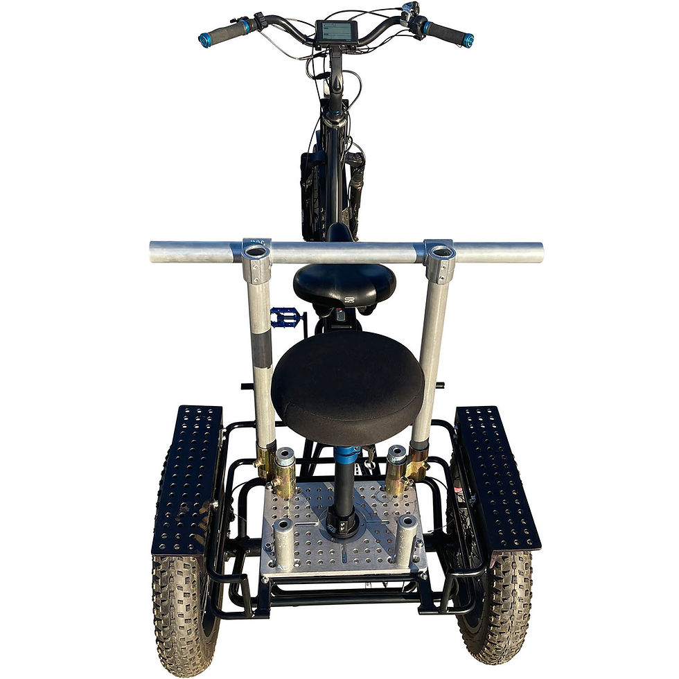 Thumbnail: Treefort Standard CineTrike