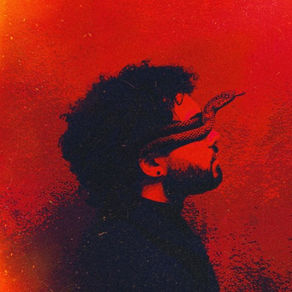 A Snakes Paradise - Joél