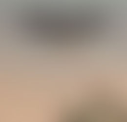 Victim - Western Jaguar