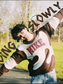 Going Slowly - RONAM