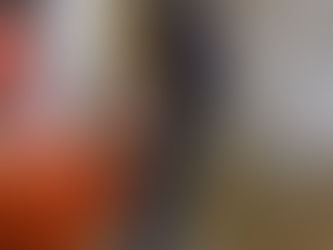 hundetraining in hamburg und schenefeld