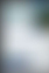 PDA “Beyond the Algorithm”, 25 - 31 of May 2026, Novaci, Romania