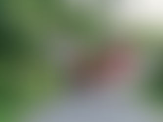 Seljord Folkehøgskule: 50 år – «empati og likeverd for nye mennesker i livet!»