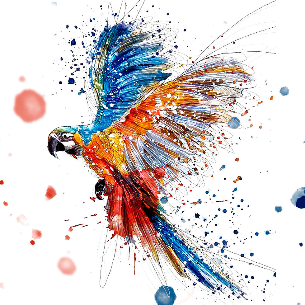 Arara
