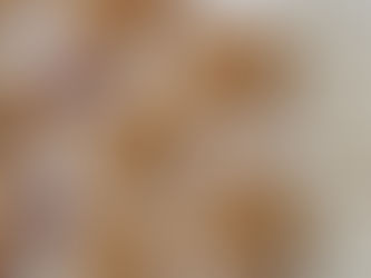 Homemade Chocolate Chip Clif Bars