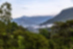 Andean Bear Conservation