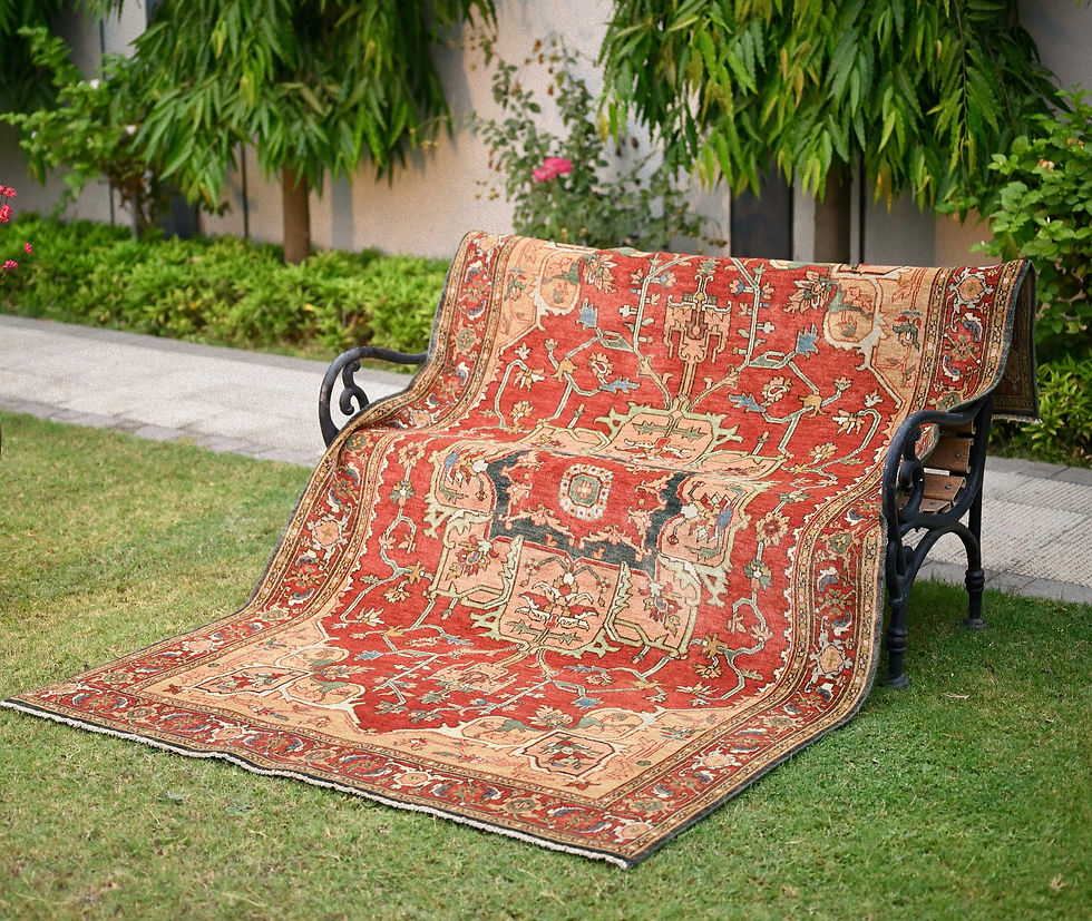 DSC_3752 2_edited.jpg