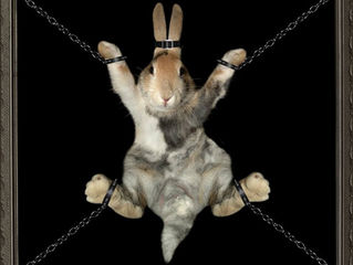 ¡Cuidado niños! Pornografía explícita