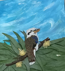 Kookaburra sits on an old gum tree