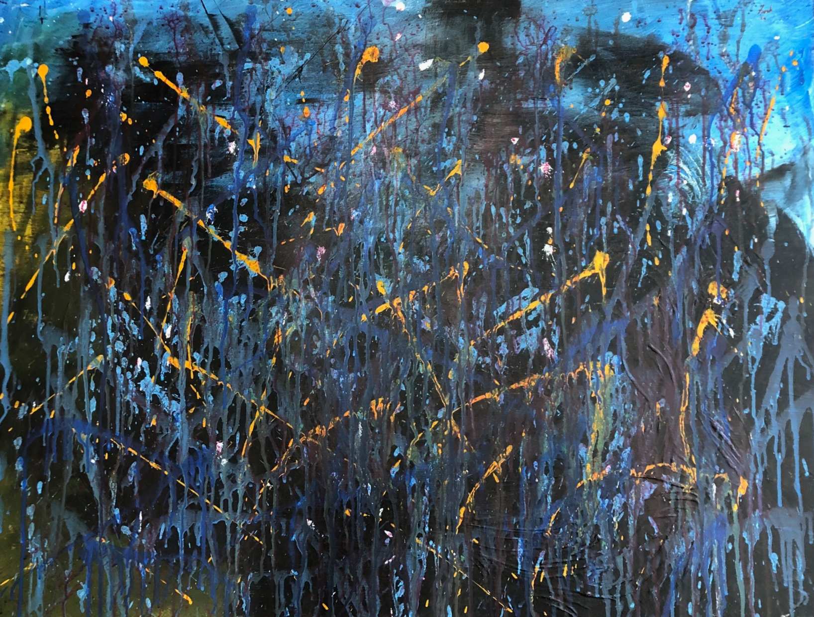 Night time in the bush