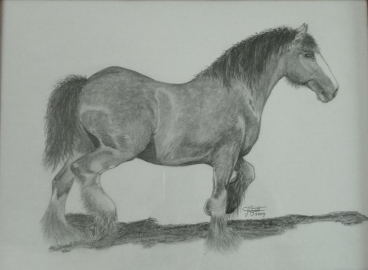 Draft horse