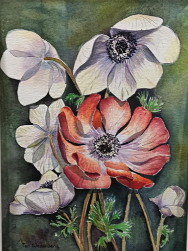 Anemone in Spring