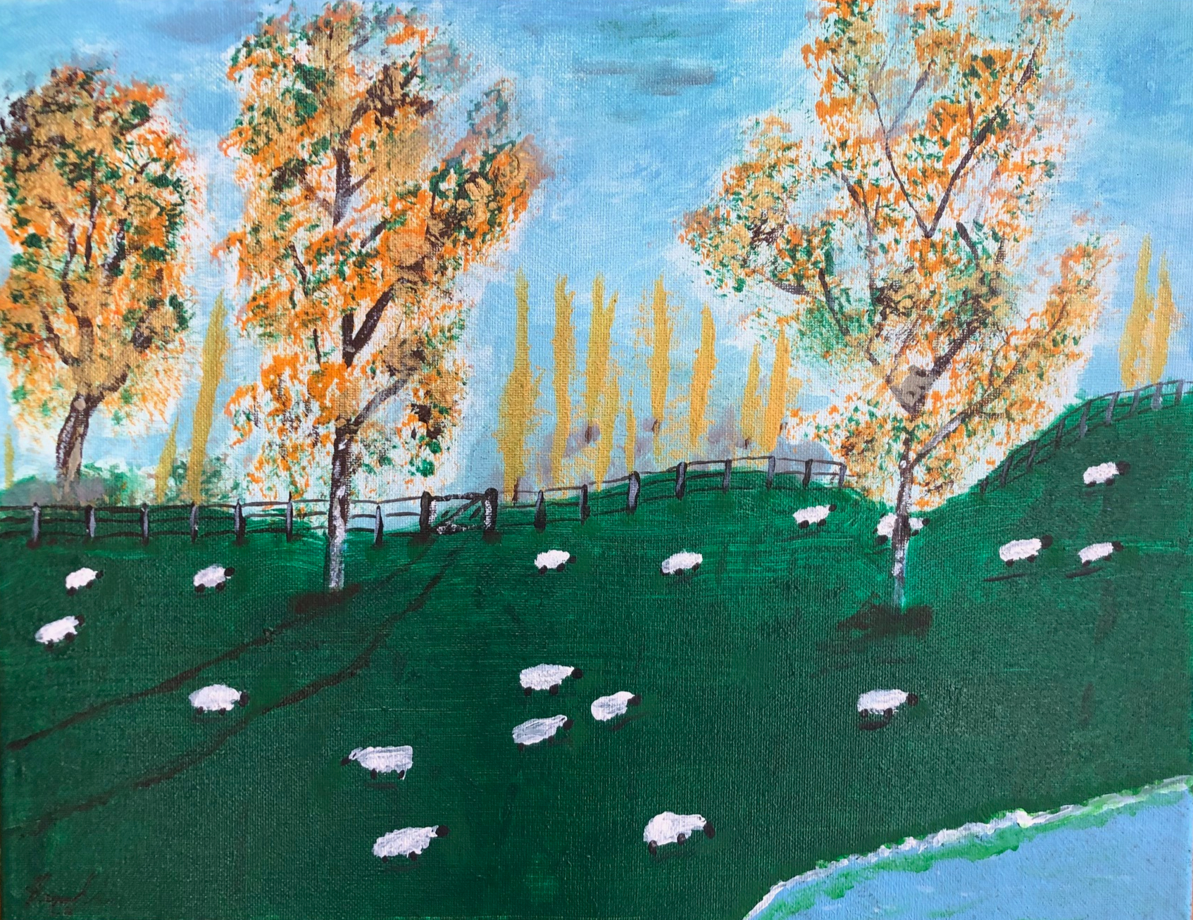 15. Sheep in the paddock in New Zealand by Frank