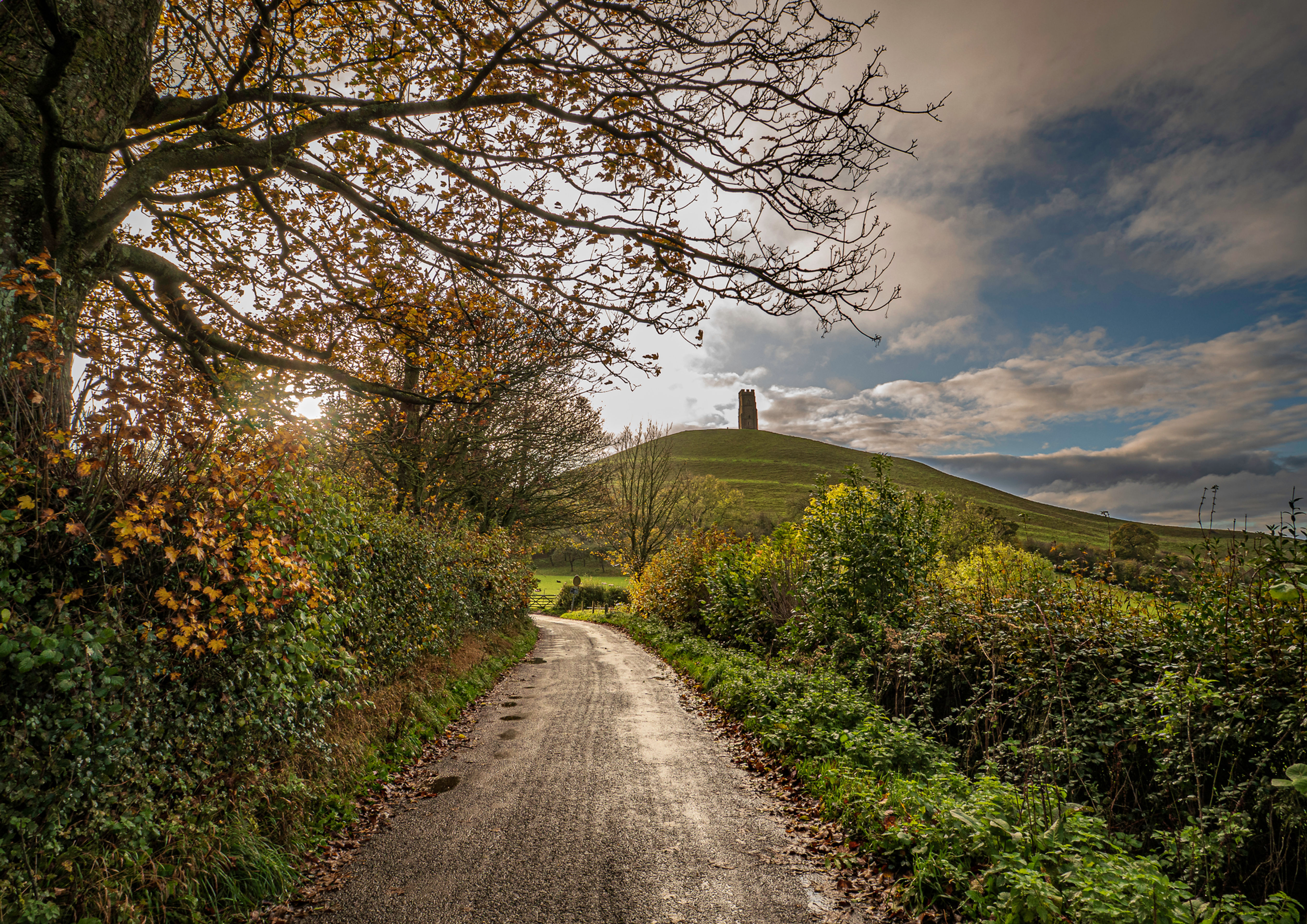 Limited Edition Canvas Autumn Lane