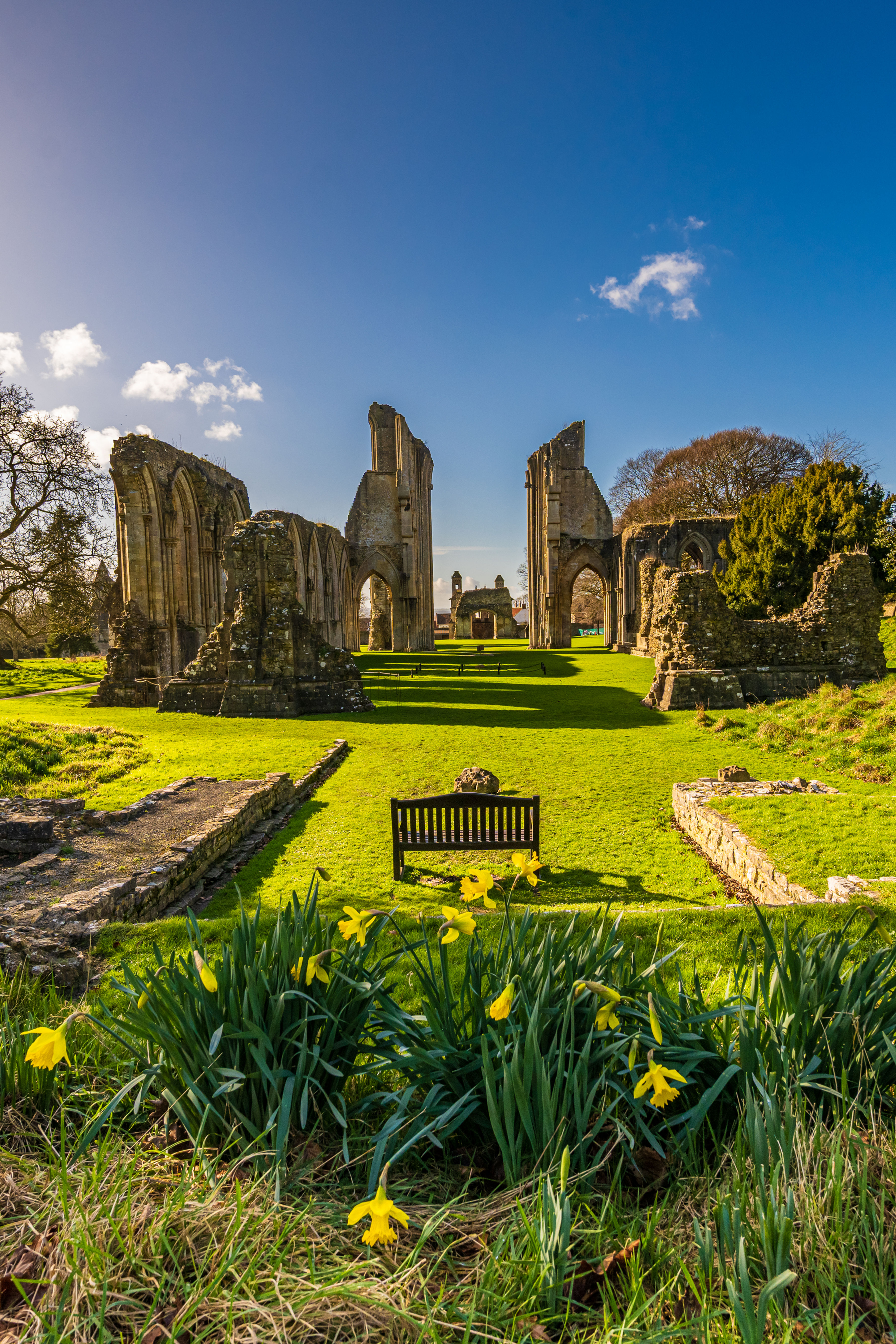 Limited Edition print of A Host of Daffodils  (Portrait format)