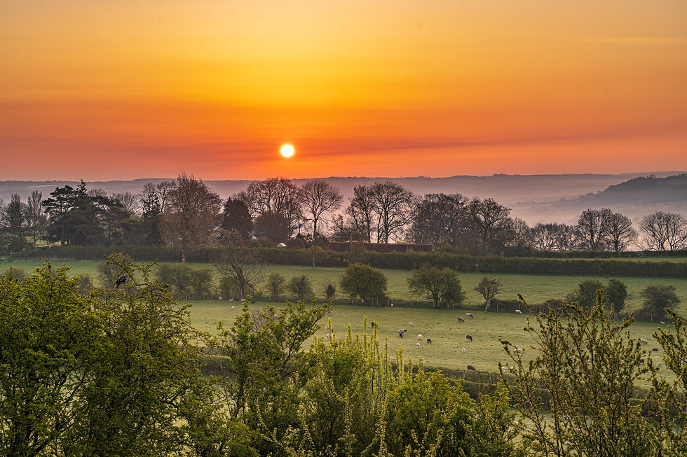 Limited edition canvas of Layers