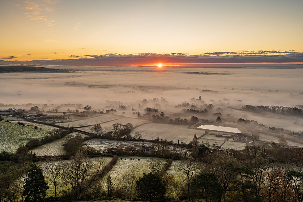 Limited edition canvas of A New Dawn