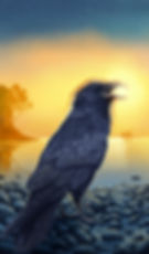 Raven