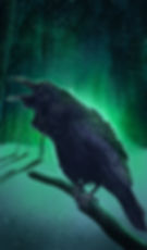 Raven2