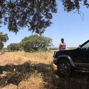 Spot novo no Alentejo