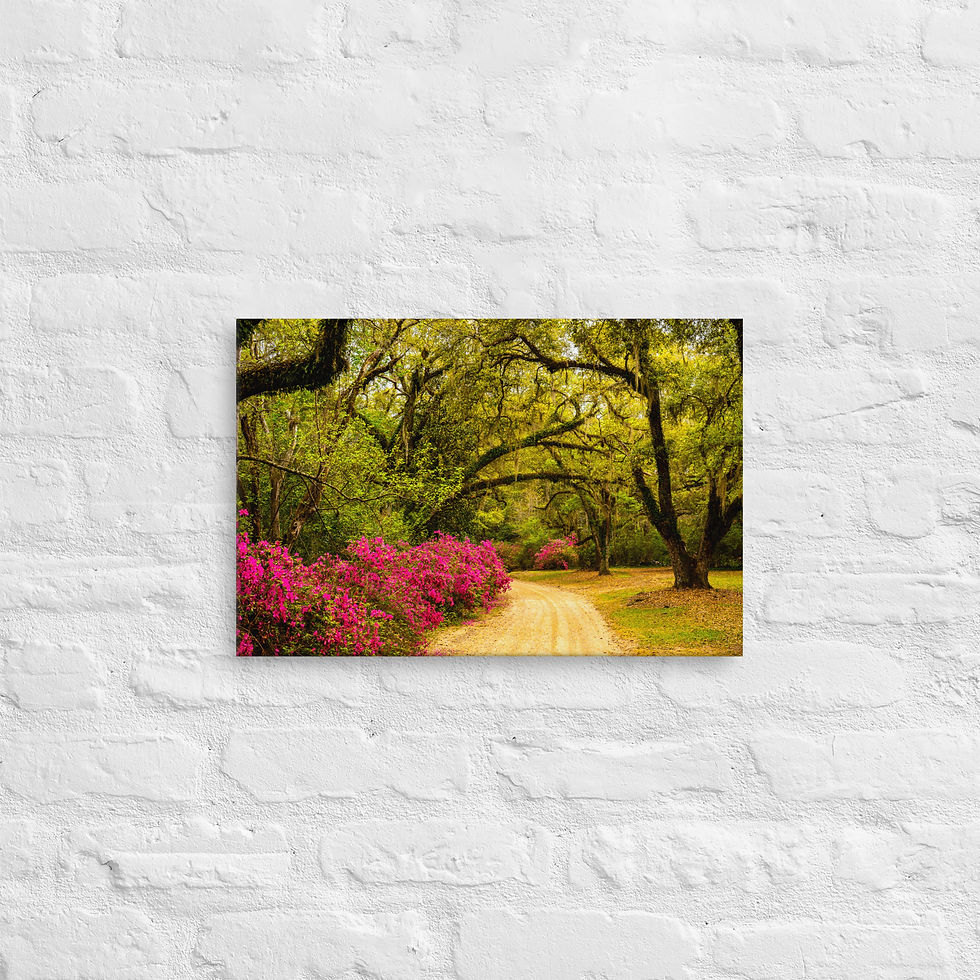 Thumbnail: Thin canvas