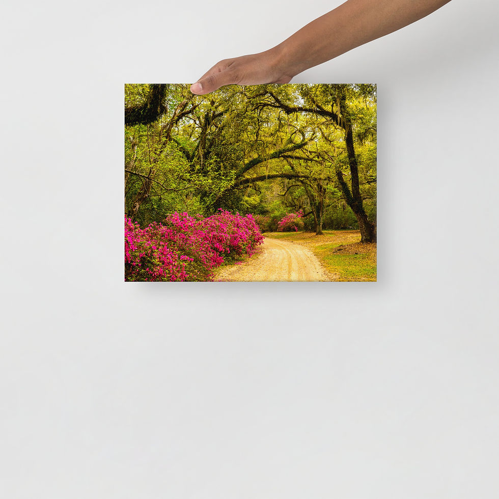 Thumbnail: Thin canvas