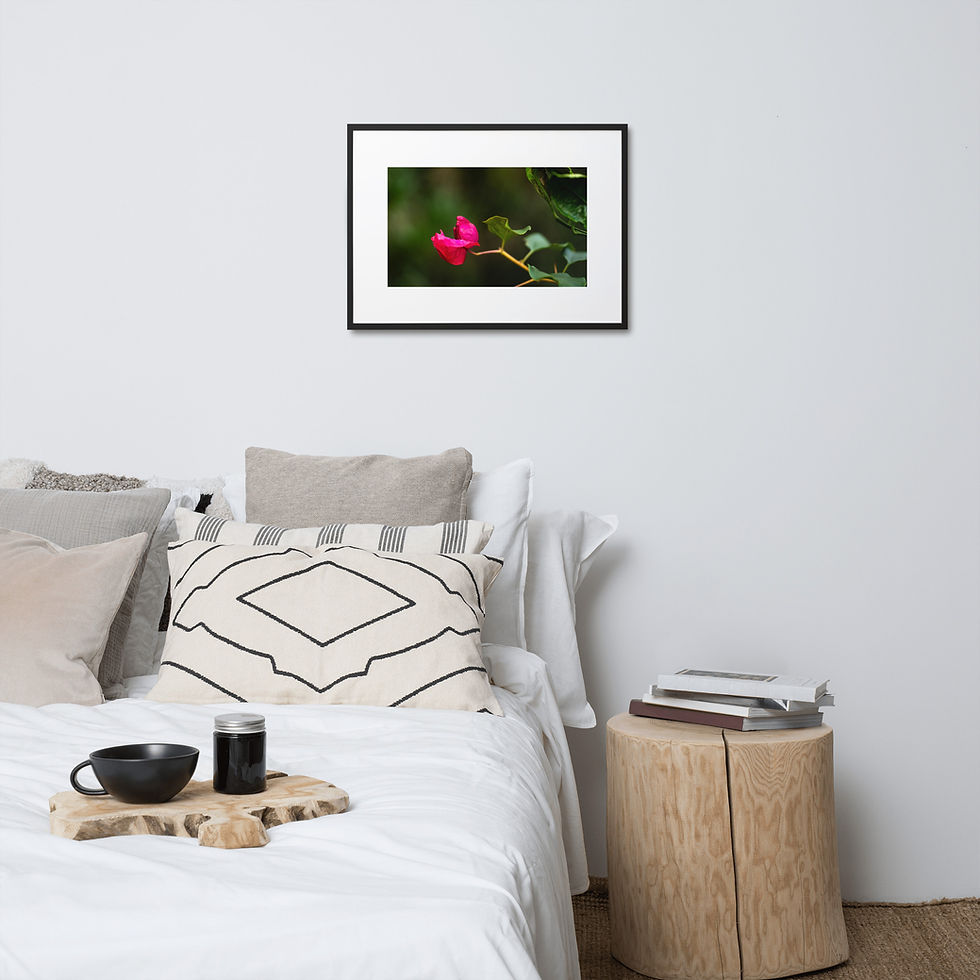 Thumbnail: Bougainvillea Matte Paper Framed Poster With Mat