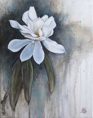 Magnolia