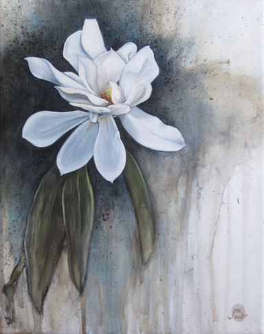 Magnolia