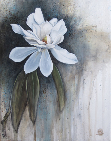 Magnolia